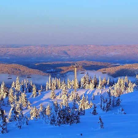 Sjusjoen Hytteutleie As Ngoại thất bức ảnh