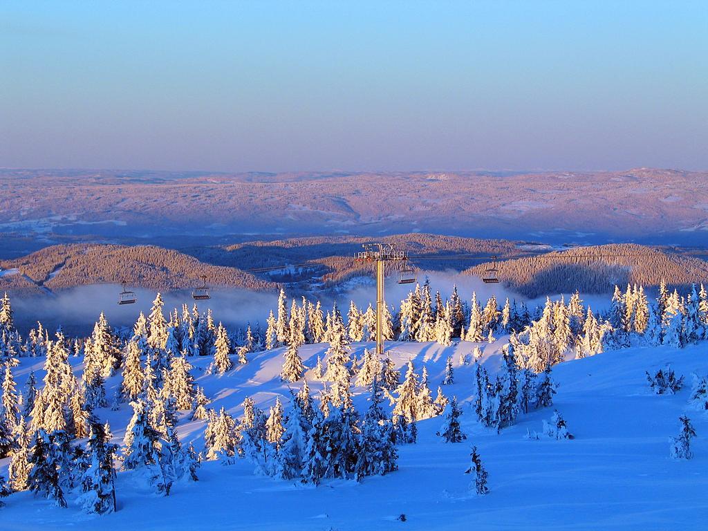 Sjusjoen Hytteutleie As Ngoại thất bức ảnh