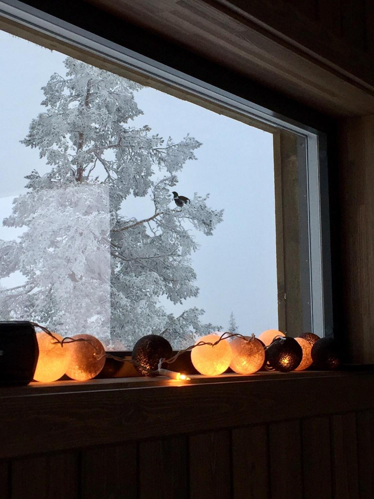 Sjusjoen Hytteutleie As Ngoại thất bức ảnh